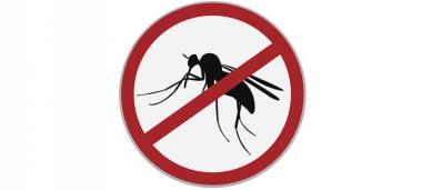 Nouveaux moustiques, réunion publique à La Tontouta