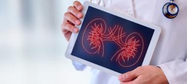 Autorisé à pratiquer une activité de transplantation de rein chez l’adulte, le CHT va pouvoir prélever les organes sur tous types de donneurs, puis les greffer.