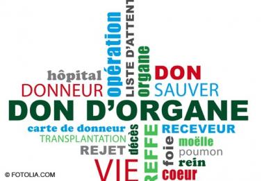 don-organe_453accc60d610f13d410913621a79212.jpg
