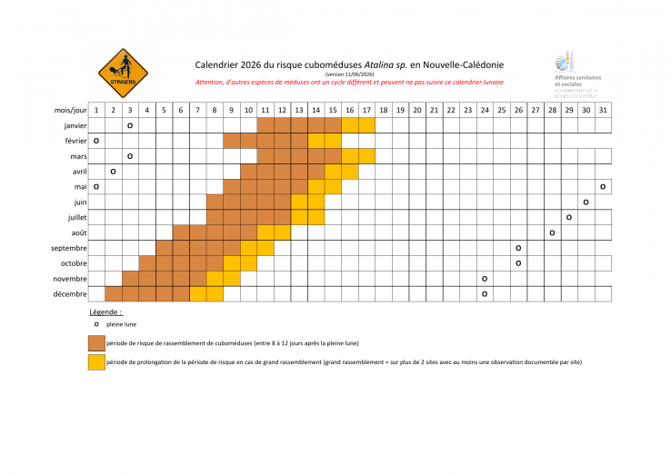  Calendrier 2026 du risque cuboméduses Alatina sp. en Nouvelle-Calédonie