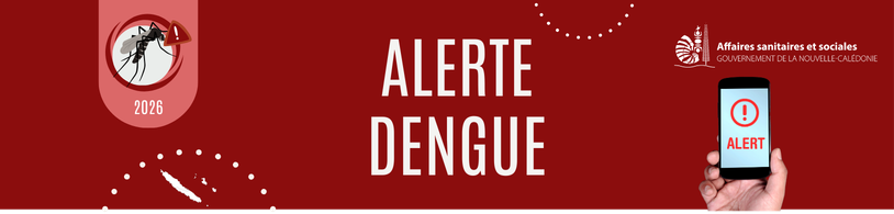 banner_alerte_dengue.png