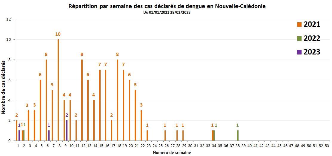 cas_de_dengue_par_semaine_28-02-2023.jpg