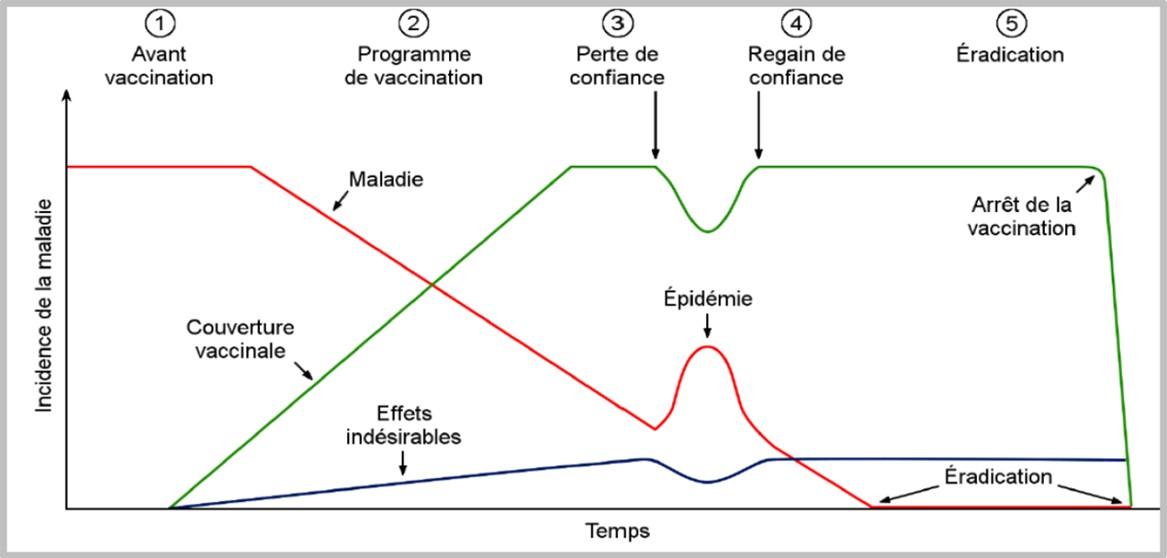 La Vaccination Direction Des Affaires Sanitaires Et Sociales De Nouvelle Caledonie