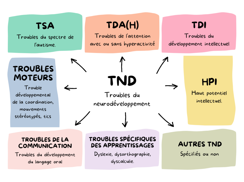 tnd-infographie.png